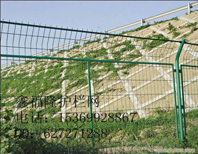 安平鑫福隆金屬絲網制品廠 專業供應各類護欄網與防護設施